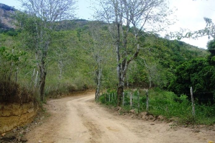 Estrada vicinal vai beneficiar mais de mil pessoas em Tanque d’Arca