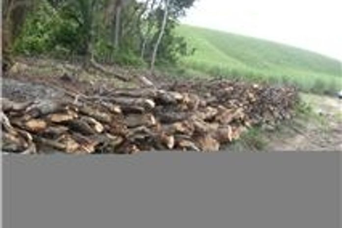 Batalhão Ambiental apreende madeira ilegal