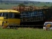 Vídeo:Alagoanos acabam feridos em acidente entre ônibus e caminhão em São Paulo