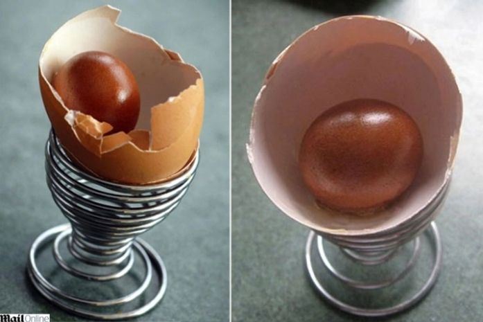 Fazendeiro encontra uma surpresa dentro de ovo: outro ovo