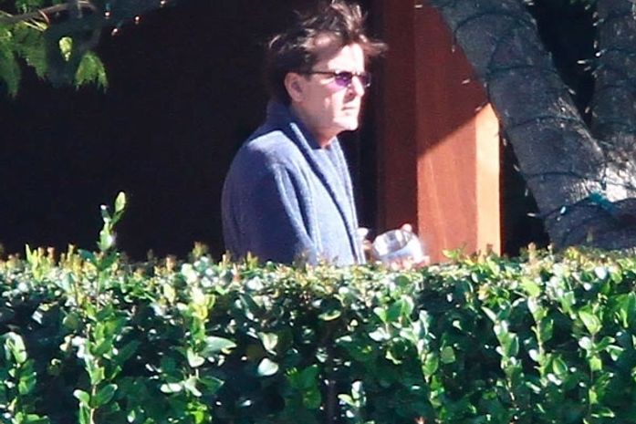 Charlie Sheen quer US$ 10 milhões por livro sobre bastidores de série