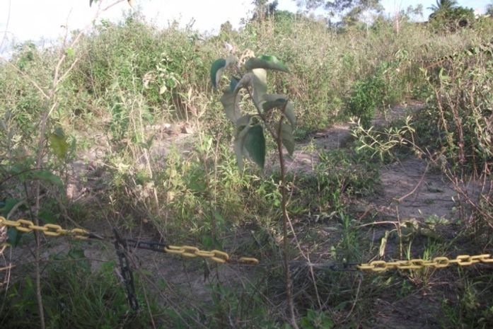Ossadas de irmãs são encontradas no campus da Ufal