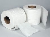 A importancia do papel higienico no cemitério