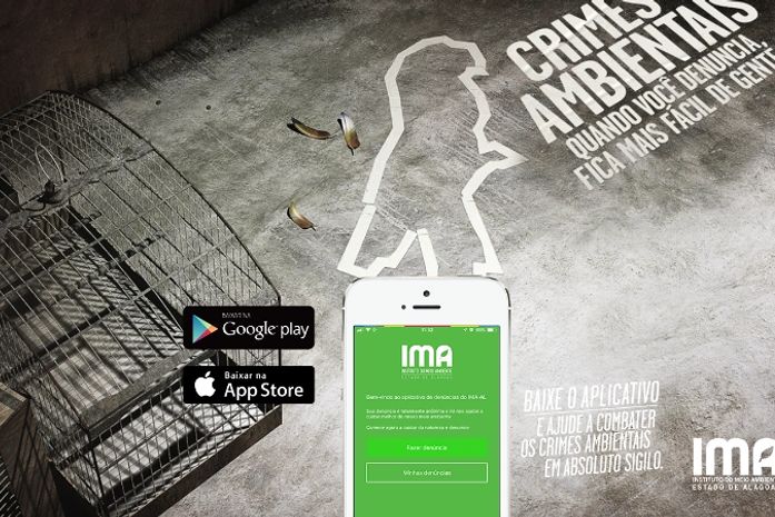 IMA Denuncie: app incentiva população a denunciar crimes ambientais
