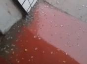 Moradores de Pariconha registram chuva de granizo