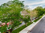 Avenida Deputada Ceci Cunha é revitalizada e recebe moderno paisagismo