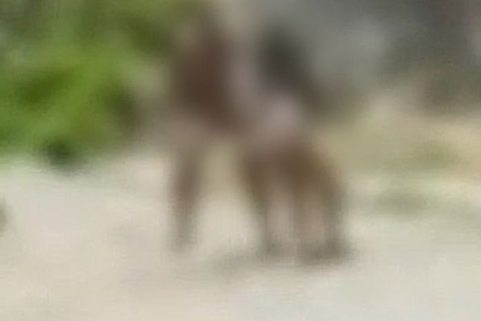 Homem é preso após espancar mulher em Marechal Deodoro