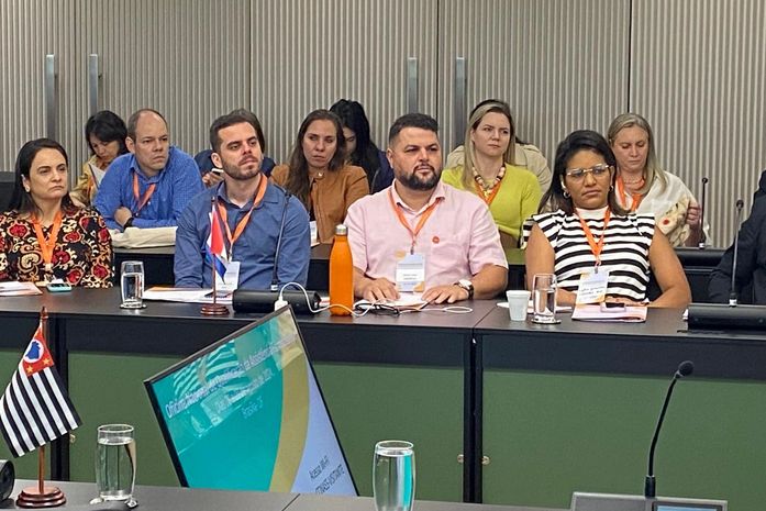 Cosems-AL representa o NE em evento sobre Assistência Farmacêutica