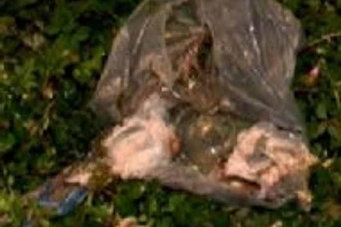 Recém-nascido é encontrado em saco plástico