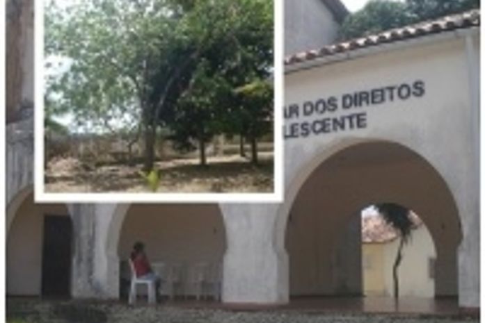 Concelho Tutelar de Penedo