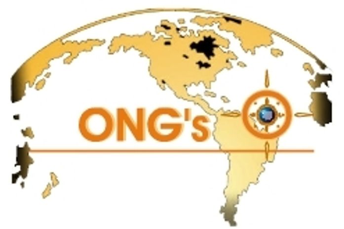 Opinião: ONG e o contrassenso da utilização de verbas públicas