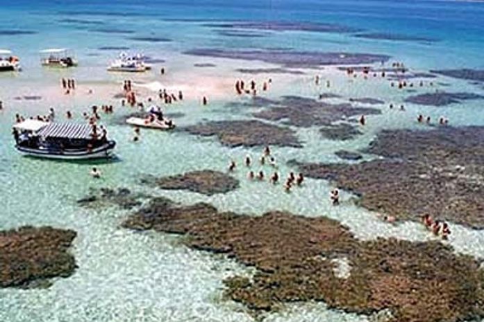 APL Costa dos Corais participa de workshop para alinhamento de estratégias