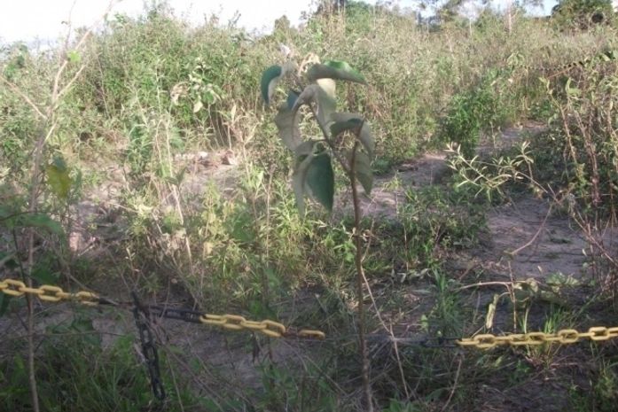 Ossadas foram encontradas no campos da Ufal 