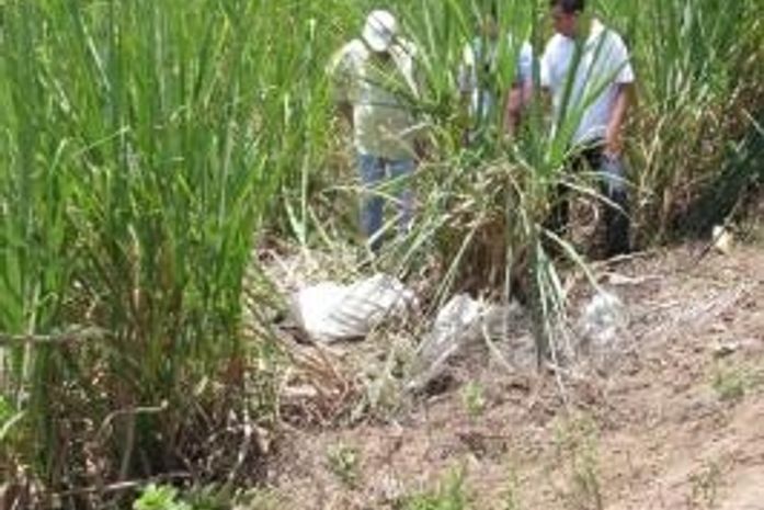 O aposentado Expedito foi encontrado morto na AL220