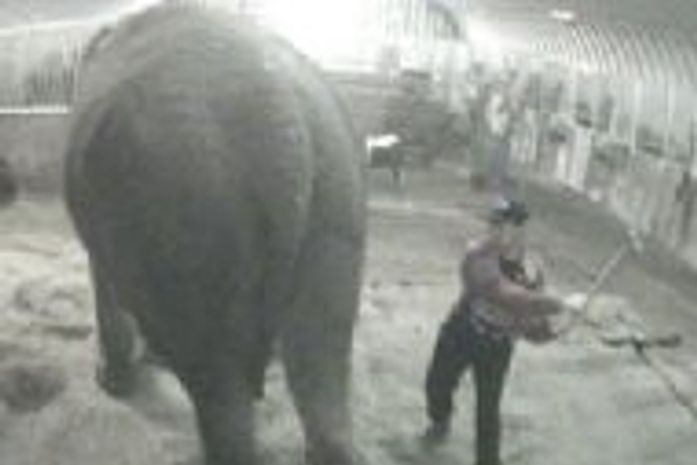 Anne recebe maus tratos em circo na Grã-Bretanha