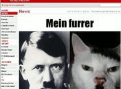 Jornal inglês mostra gatos parecidos com o nazista Adolf Hitler