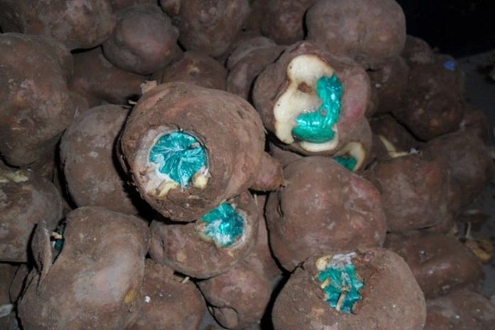 Batatas recheadas com cocaína foram apreendidas em Corumbá (MS)