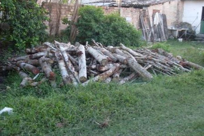 BPA apreende madeira ilegal na cidade de Matriz do Camaragibe