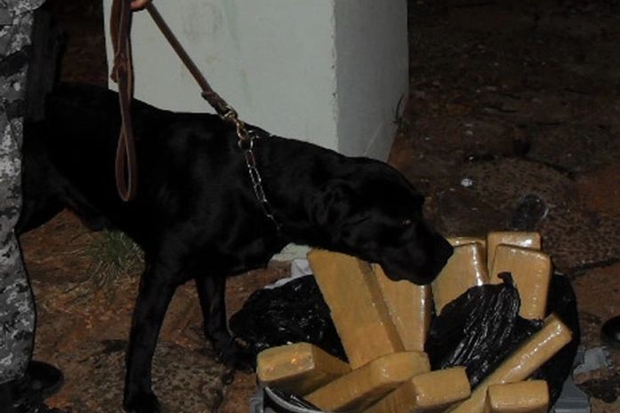Casal é detido com maconha escondida em mala em MS