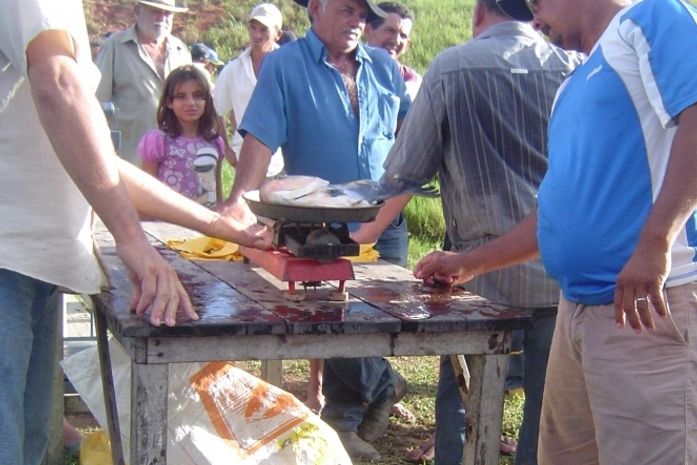 Despesca de piscicultores familiares de Igreja Nova rende 4 toneladas de pescado