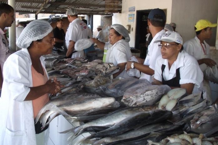Mais caro: Venda de pescado movimenta balanças na Semana Santa