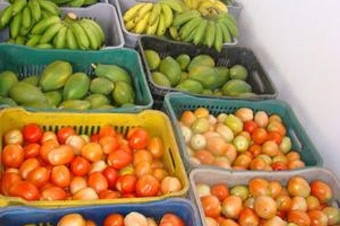 Agricultores podem vender para merenda escolar de Santa Luzia do Norte