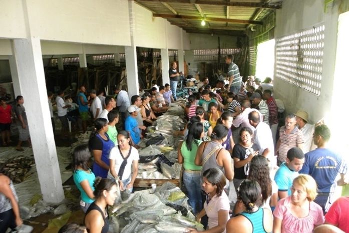 Prefeitura de São Luiz de Quitunde distribuiu mais de 20 toneladas de peixe