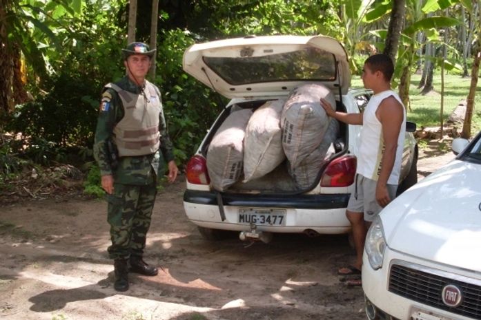 Batalhão Ambiental apreende sacos de carvão ilegais em Coruripe