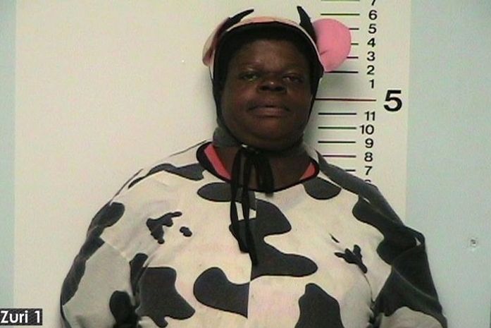 Ladrão vestido de vaca dá leite para a galera