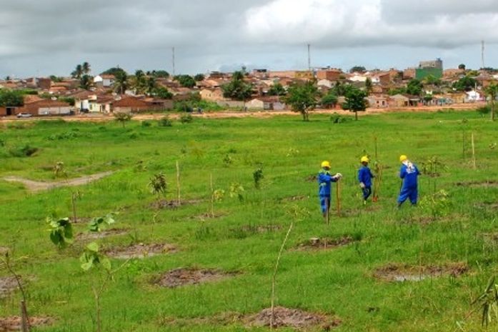 Prefeitura inicia arborização no Bosque e na Praça da Ufal