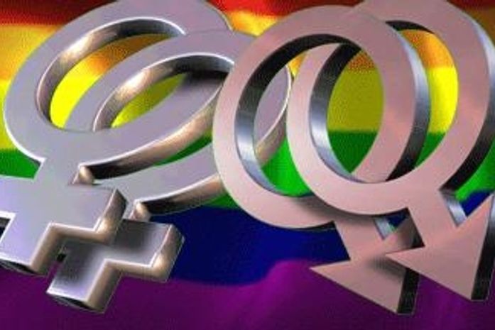 Oito propostas em discussão na Câmara regulamentam união gay