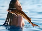 Rabada de peixe gigante machuca “sereia” na Flórida