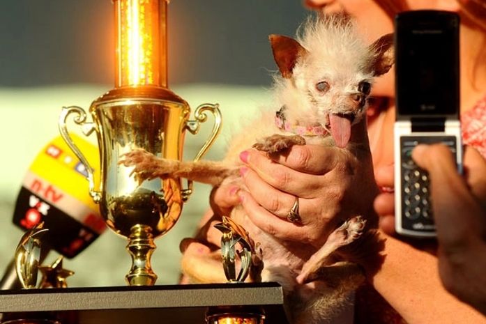 Cacho mais feio dos EUA