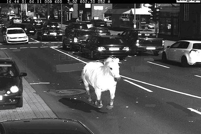 Veículo com apenas um cavalo no motor