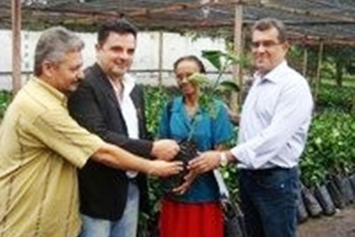Governo fortalece produção de frutas na Zona da Mata