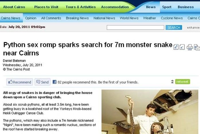 'Orgia' entre seis cobras de 3,5 e 7 metros quase derruba teto de clube