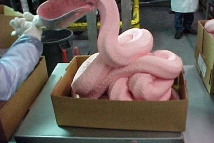 Você sabe o que é essa meleca rosa da foto?