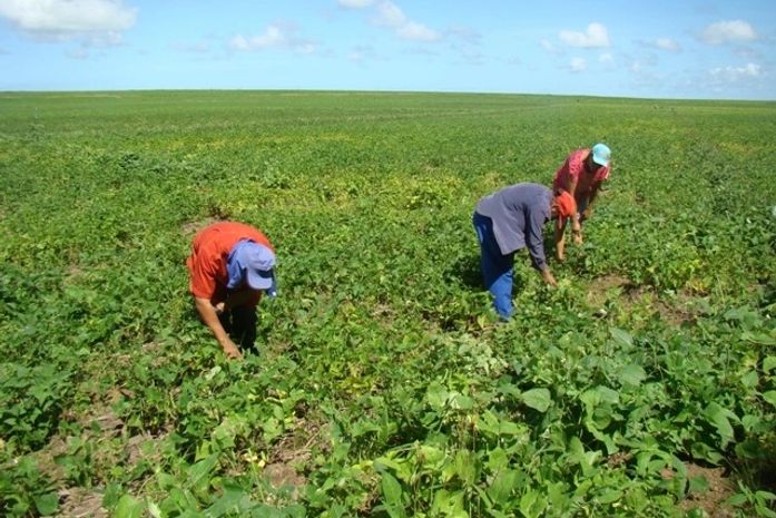 Agricultores são incluídos em programas do Governo do Estado