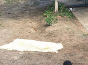 Menor é morto a facadas em Marechal Deodoro