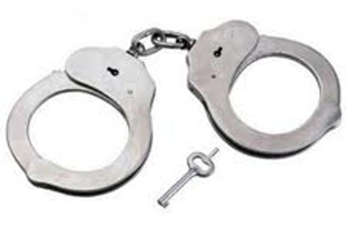 Algemas nos finos pulsos da gatunagem