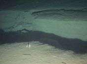 Fenda no mar japonês.