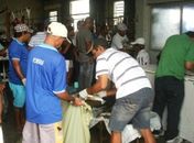 Vigilância Sanitária apreende cerca de 100kg de peixe em Penedo