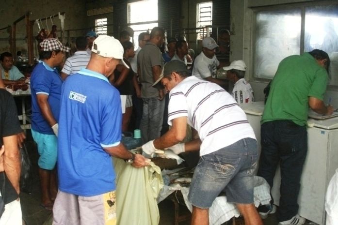 Vigilância Sanitária apreende cerca de 100kg de peixe em Penedo