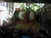 Matagal em escola pública no bairro do Poço, em Maceió