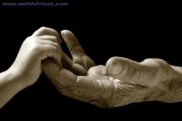 Fiscalizar, cobrar, denunciar e gerir!