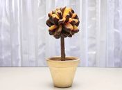 Doceria vende flor de chocolate e "árvore" especial de damasco