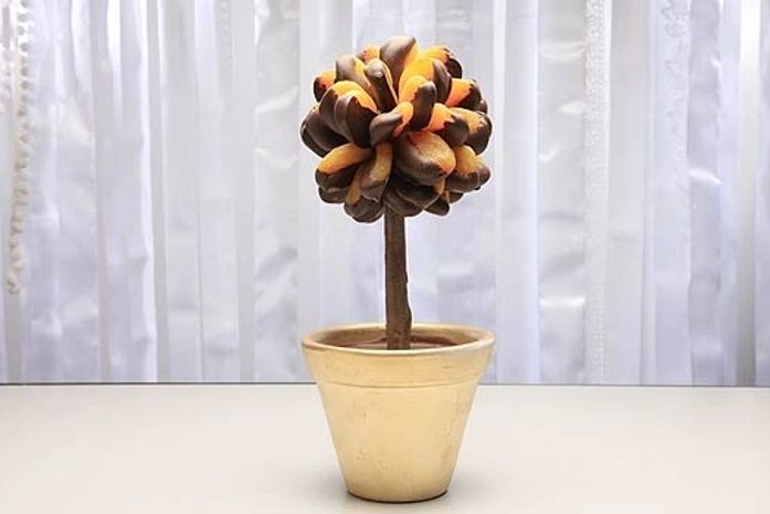 Doceria vende flor de chocolate e "árvore" especial de damasco