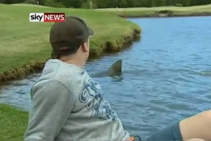 Tubarões invadem lago de campo de golfe na Austrália