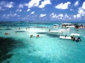 Secretaria Municipal de Turismo divulga mais uma vez o destino Maragogi na ABAV