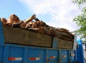 Operação detecta carregamentos irregulares de madeira e combustível